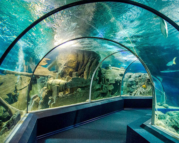 Sochi Discovery World Aquarium